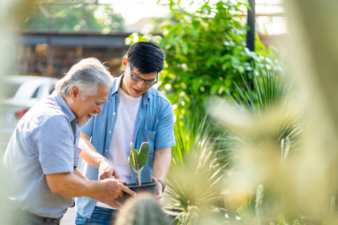 Father and son gardening